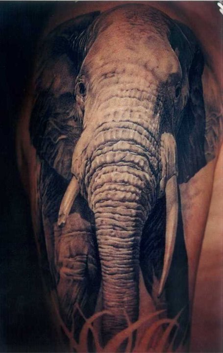 Фото и значение татуировки " Слон ". Y_23b41f6c